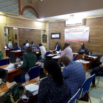 expertumafrique seminaire juil2022 expertumafrique seminaire juil2022