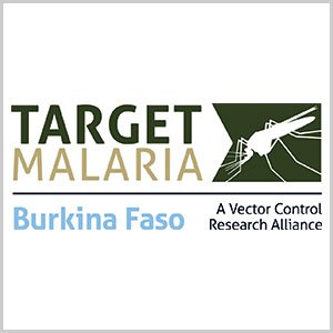 Ministère de la santé (Burkina Faso) / Target malaria Logo-Ministère de la santé (Burkina Faso) / Target malaria