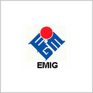 Logo-Ecole des mines, de l'Industrie et de la Géologie (EMIG-NIGER)
